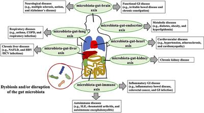 Role of the Gut Microbiota in Regulating Non-alcoholic Fatty Liver Disease in Children and Adolescents
